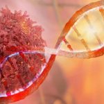 KUBET กับการวิเคราะห์ความเสี่ยงด้านสุขภาพในยุคดิจิทัล